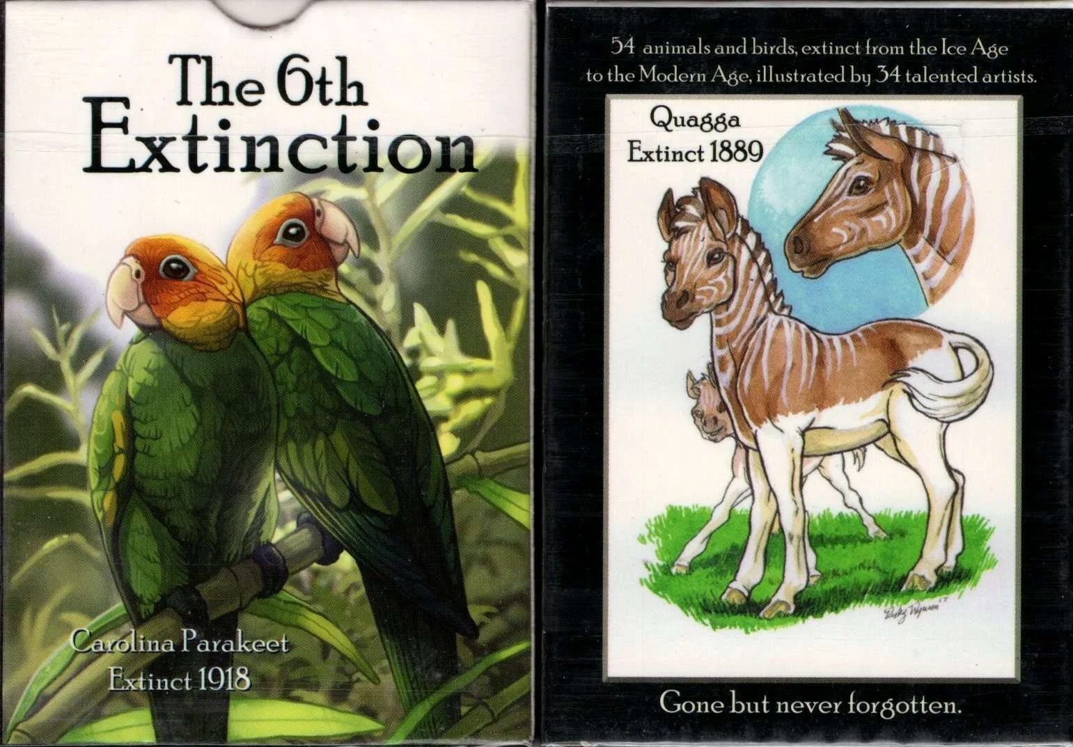 The 6th Extinction Playing Cards TMCards