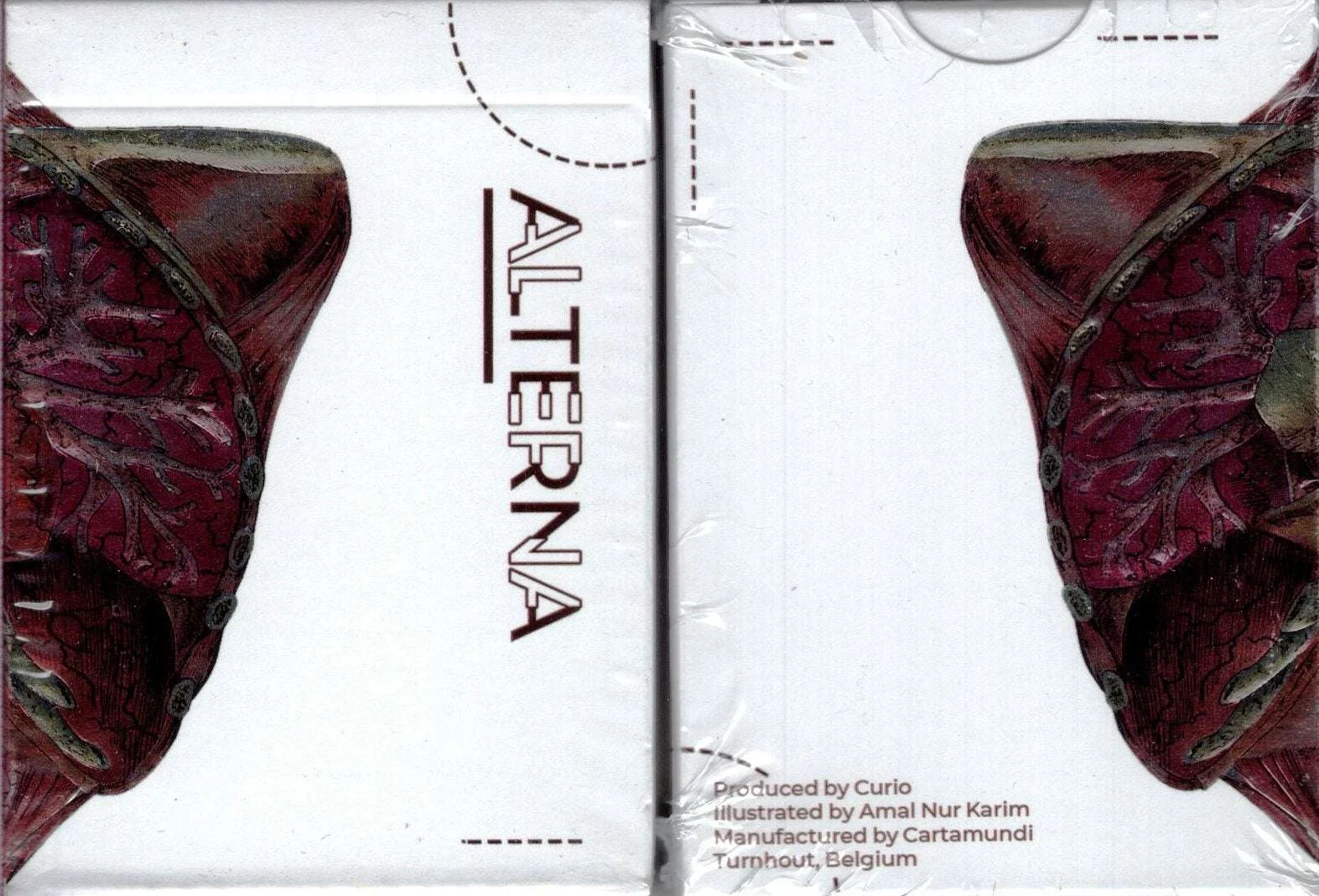 Alterna Playing Cards Cartamundi
