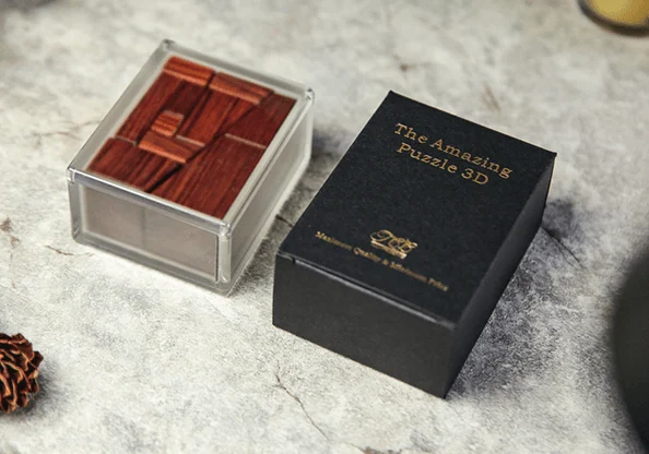 The Amazing 3D PUZZLE
