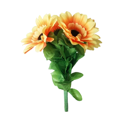 Amazing Split Sunflower by Premium Magic - Trick