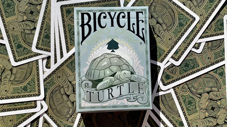 Bicycle Turtle