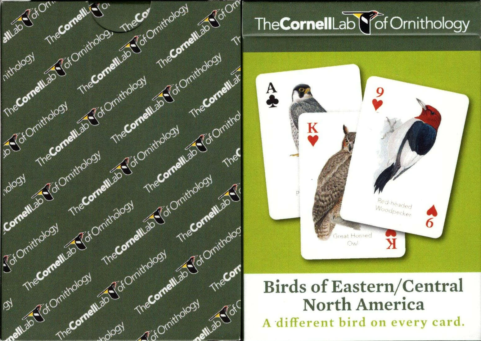 Birds of Eastern / Central North America Playing Cards NYPC