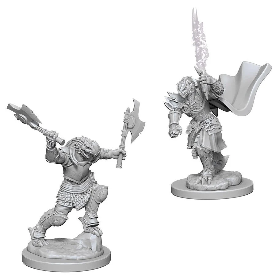 D&D Nolzur's Miniatures:Dragonborn Female Fighter