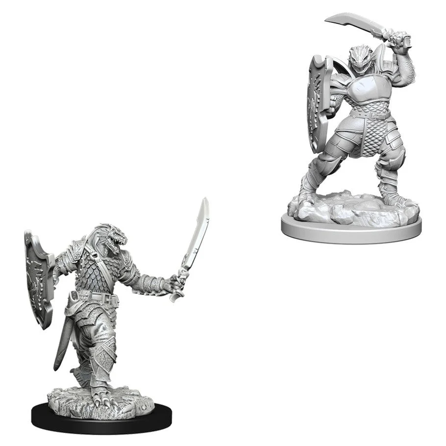 D&D Nolzur's Miniatures:Dragonborn Female Paladin