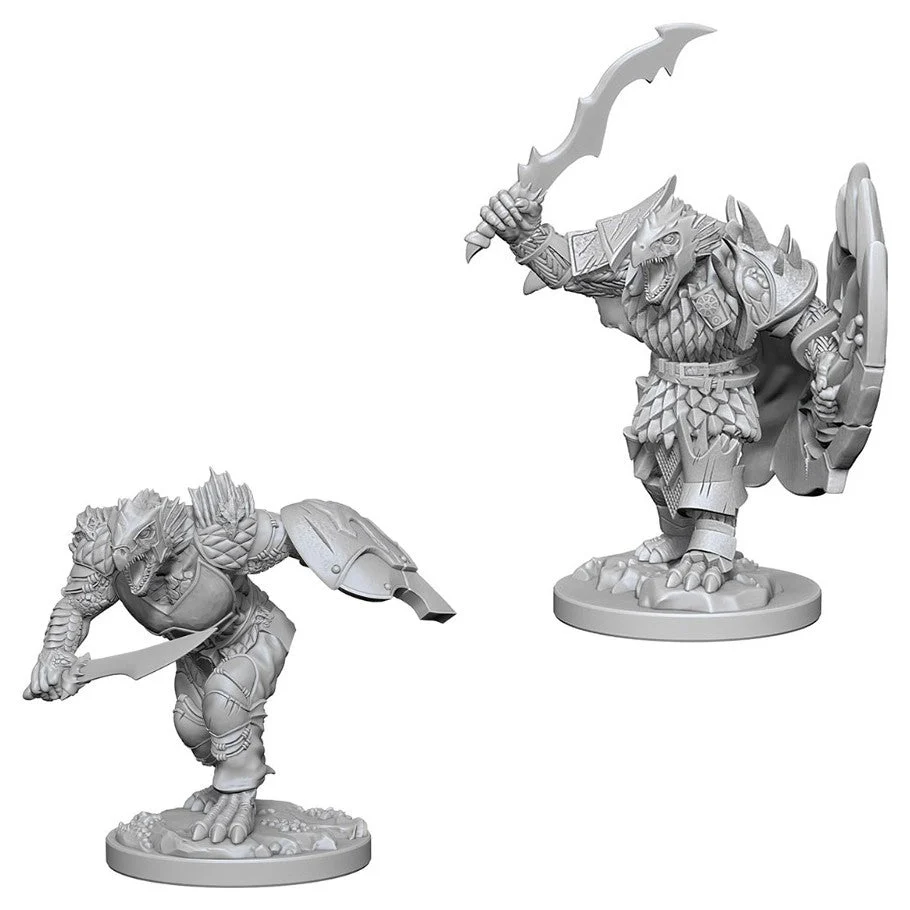 D&D Nolzur's Miniatures:Dragonborn Male Fighter