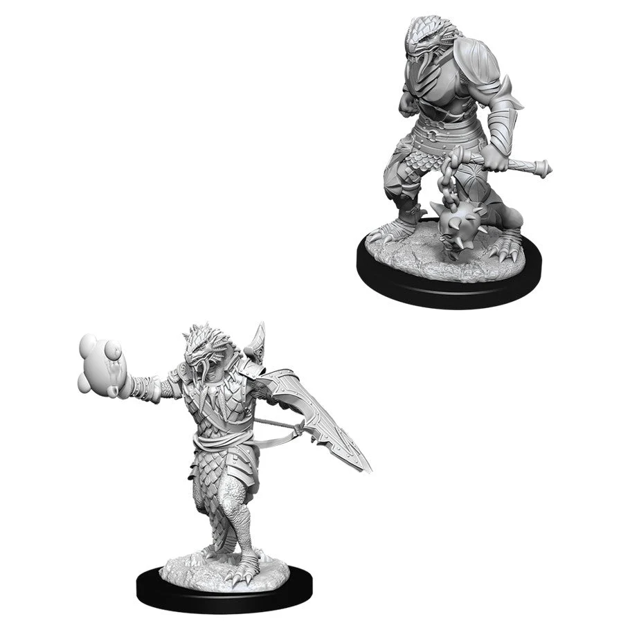 D&D Nolzur's Miniatures: Dragonborn Paladin