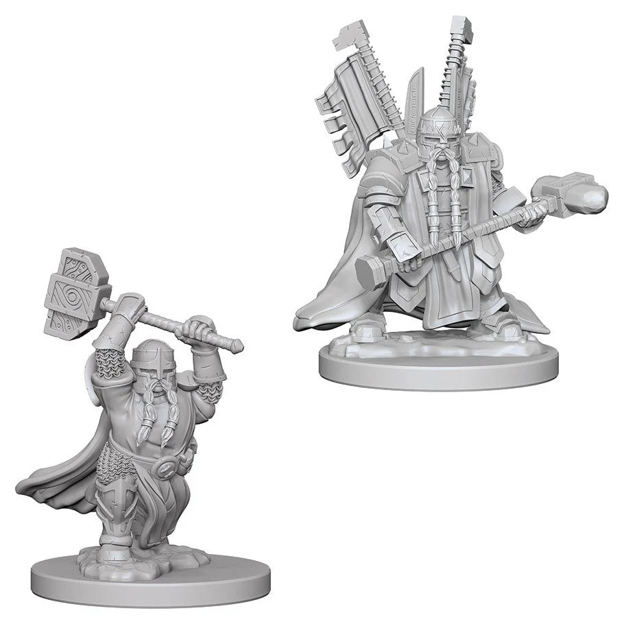 D&D Nolzur's Miniatures:Dwarf Male Paladin
