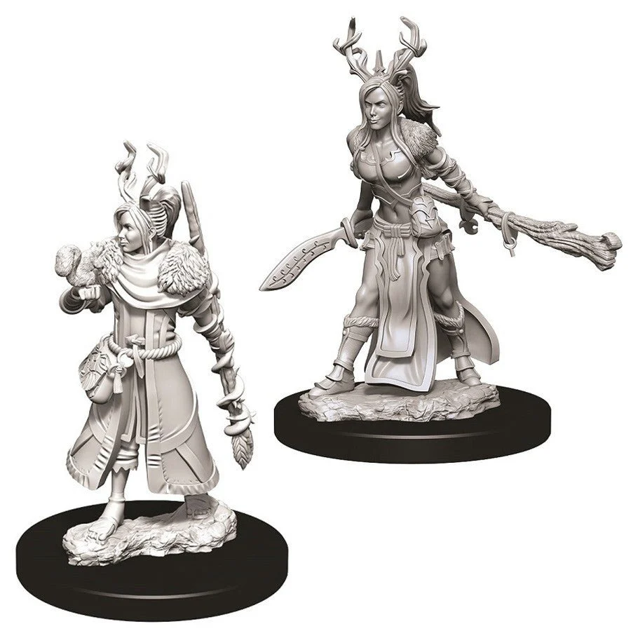D&D Nolzur's Miniatures: Female Human Druid
