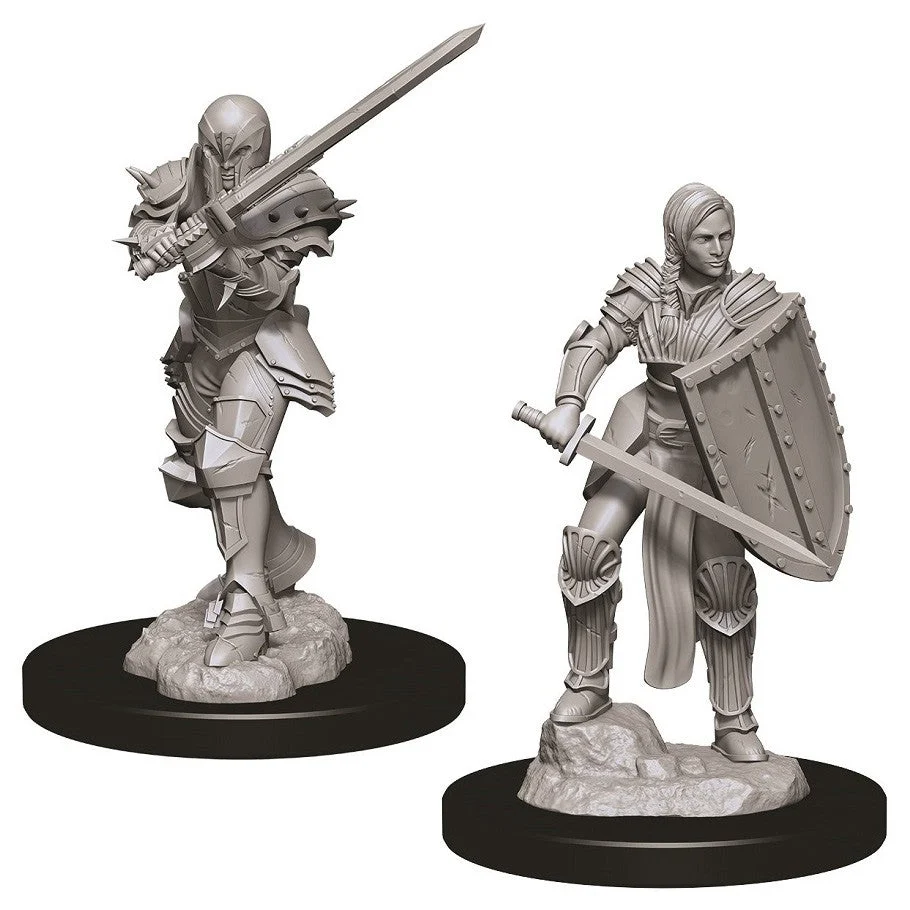 D&D Nolzur's Miniatures: Female Human Fighter