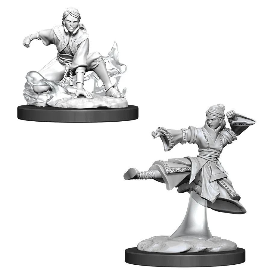 D&D Nolzur's Miniatures: Female Human Monk