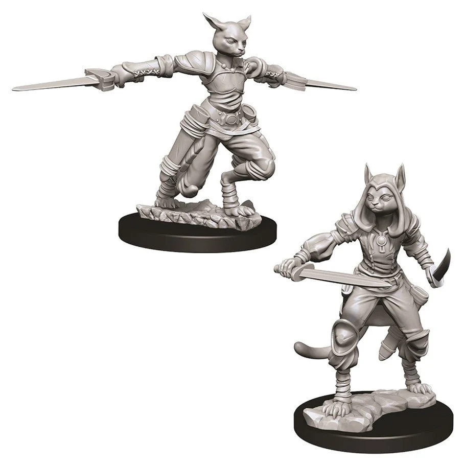 D&D Nolzur's Miniatures: Female Tabaxi Rogue