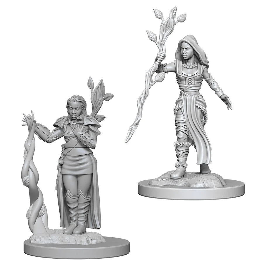D&D Nolzur's Miniatures: Human Female Druid
