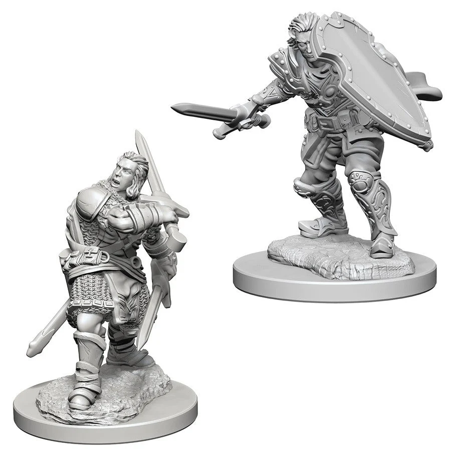D&D Nolzur's Miniatures: Human Male Paladin