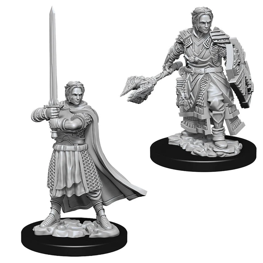 D&D Nolzur's Miniatures:Male Human Cleric