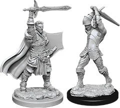 D&D Nolzur’s Miniatures: Male Human Paladin