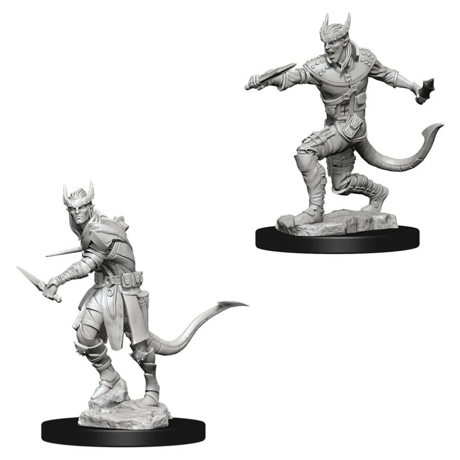 D&D Nolzur's Miniatures:Tiefling Male Rogue