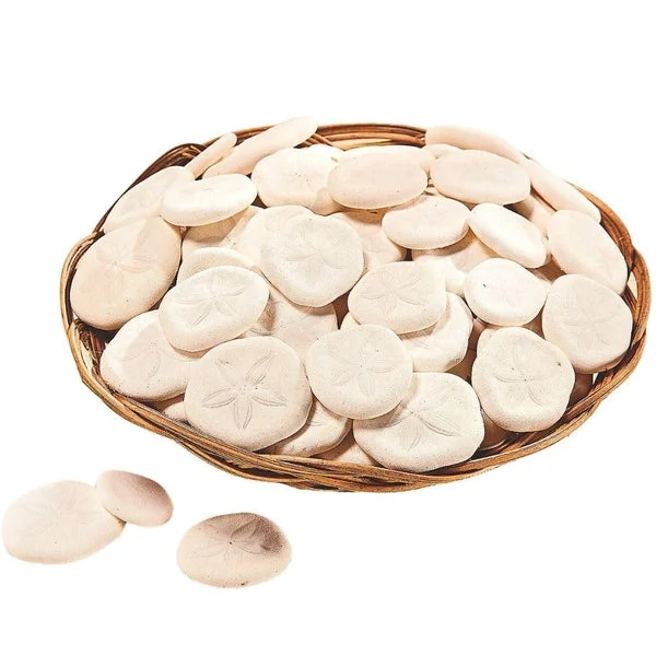 Fun Express Real Sand Dollars Plus Decorative Basket (50 and Dollars) Sea and Ocean Home Décor - VBS Vacation Bible School Supplies/Decor