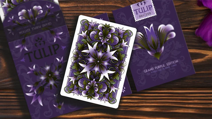 Grand Tulip Purple