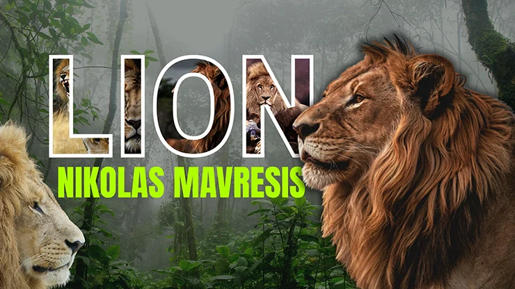 Lion by Nikolas Mavresis video DOWNLOAD