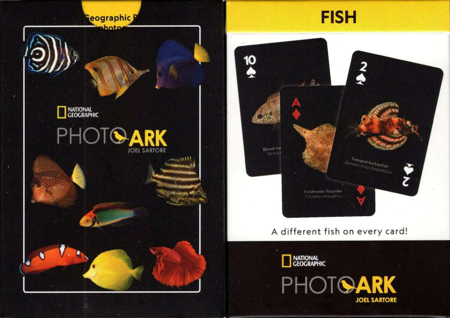 National Geographic Fish Playing Cards NYPC