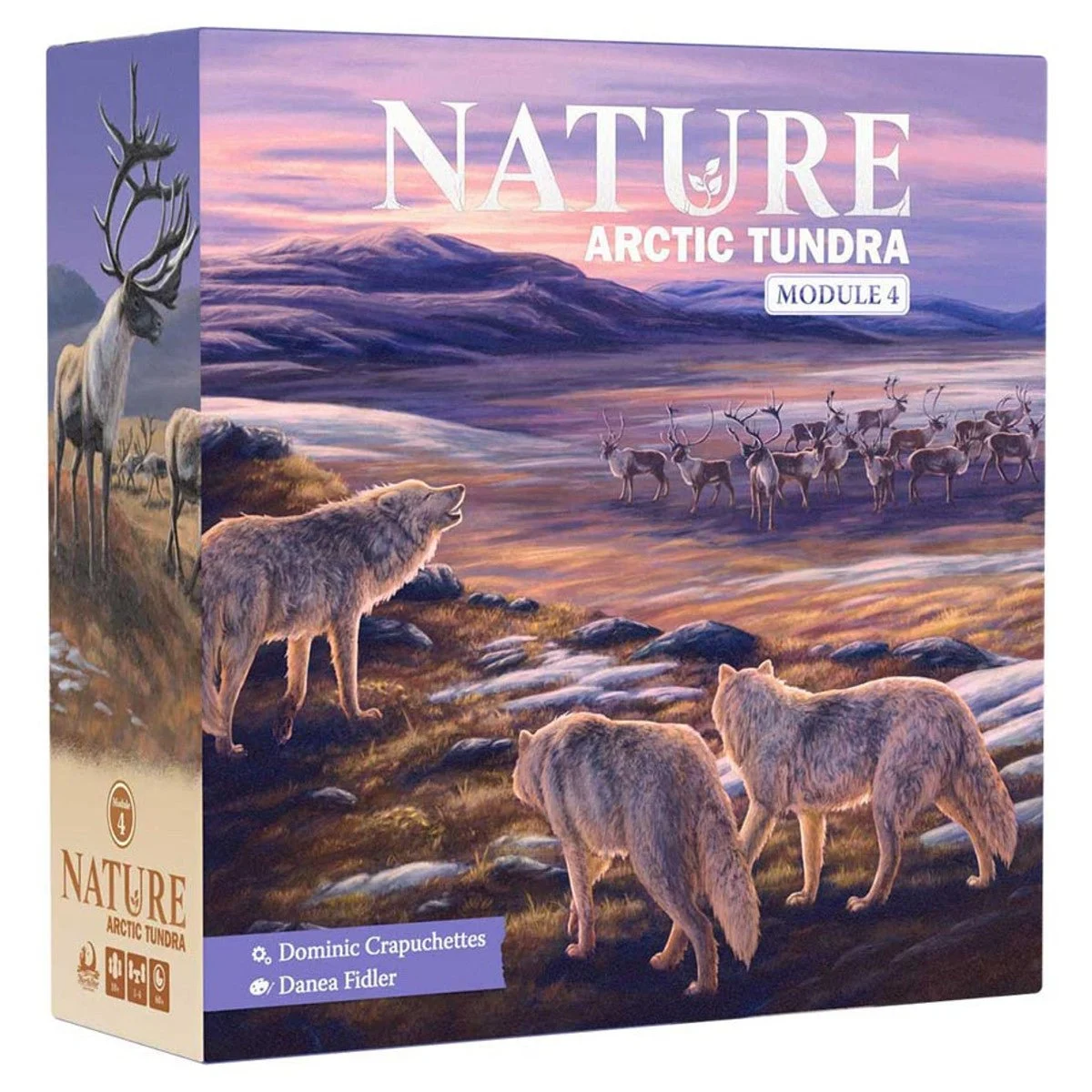Nature Module 4 Arctic Tundra