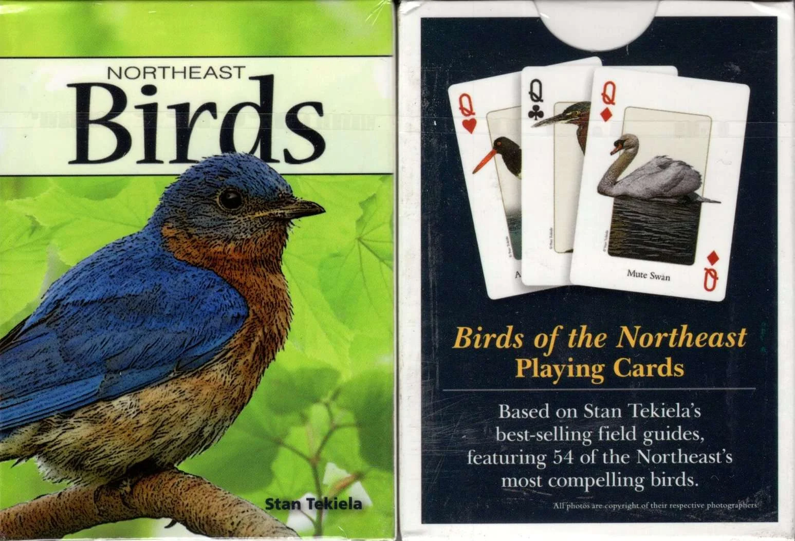 Northeast Birds Playing Cards