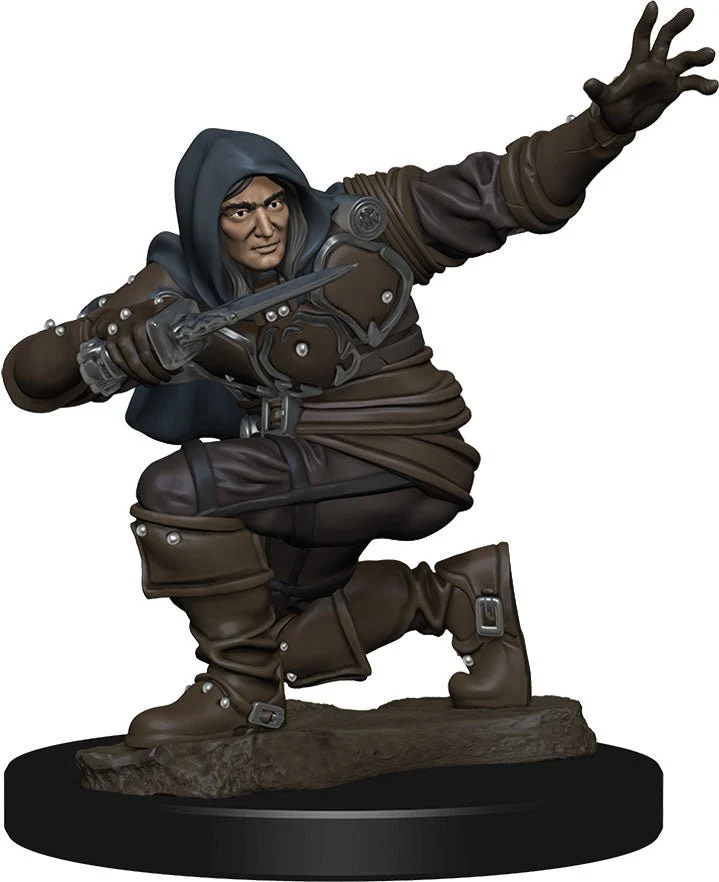 Pathfinder Battles: Premium Painted Figure - Human Rogue Male