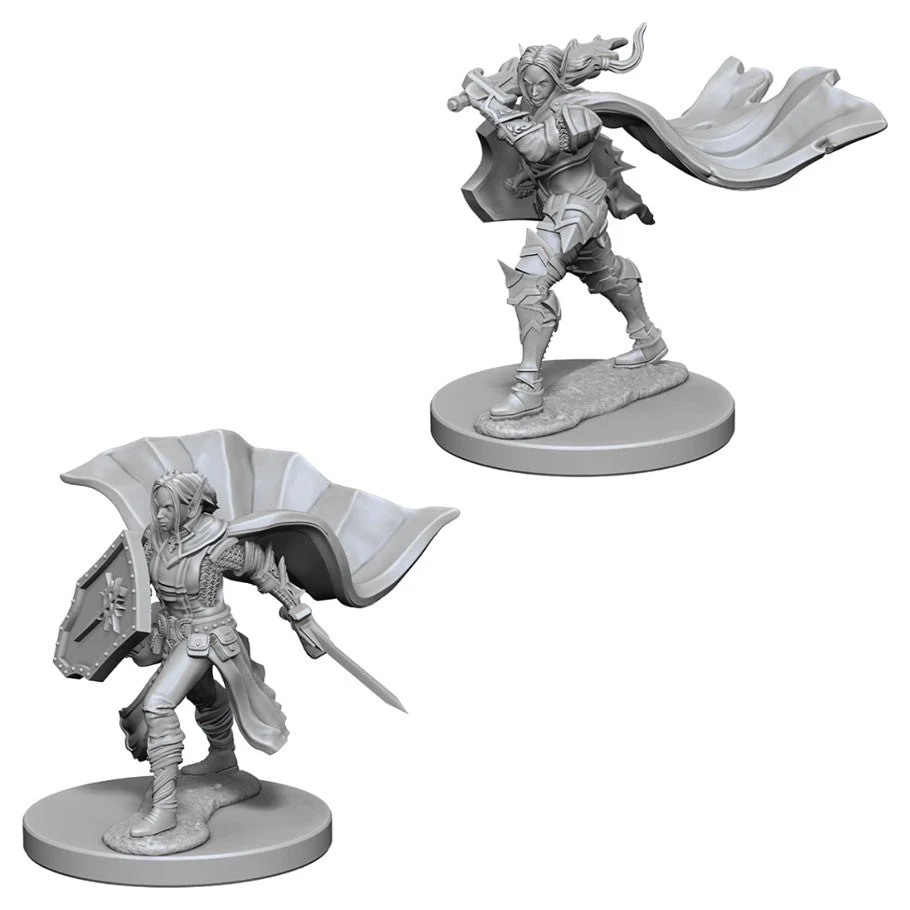 Pathfinder Deep Cuts:Elf Female Paladin