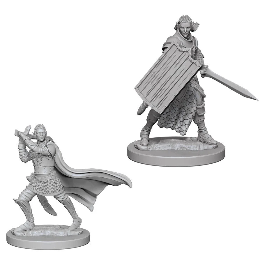 Pathfinder Deep Cuts:Elf Male Paladin