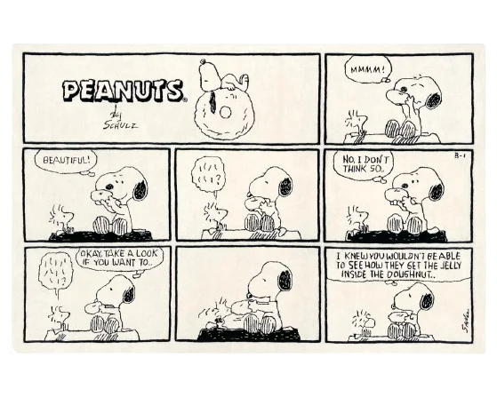 Peanuts Rug Comic Doughnut