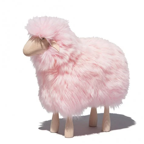 Pink Sheep