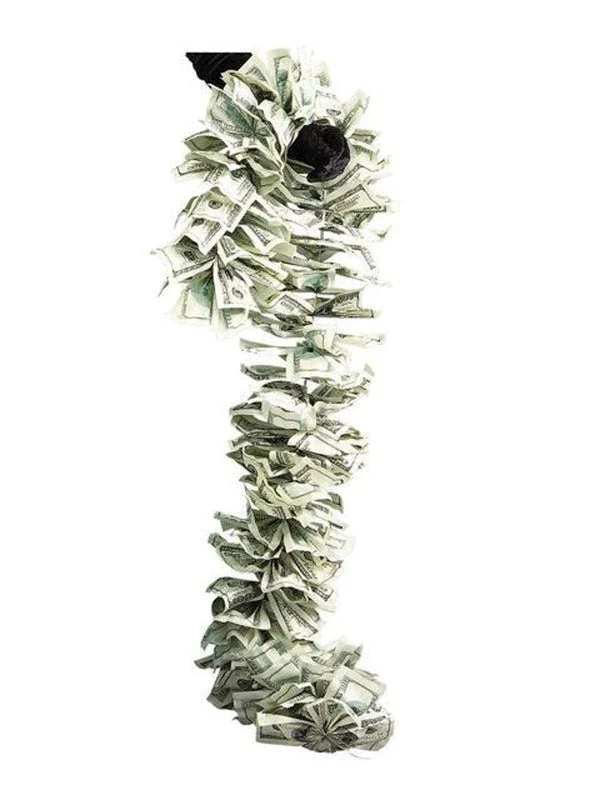 Rubies Money Boa Costume Accessory,Green,One Size