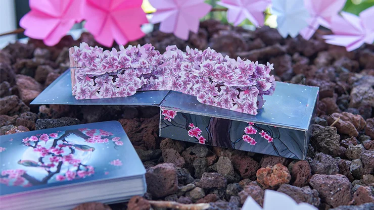 Sakura Renaissance 3D