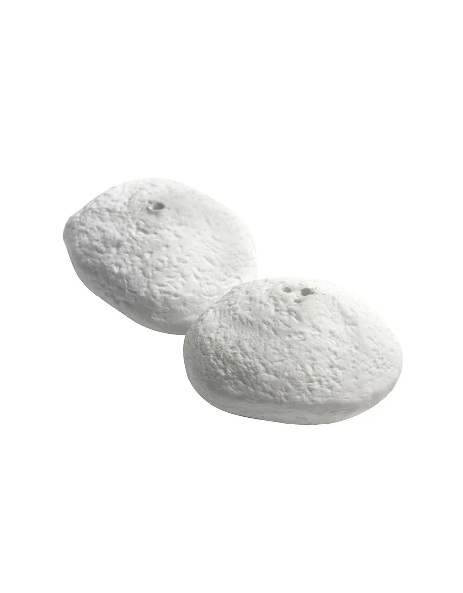 Salt & Pepper Shakers Sculptural Design (Set of 2)