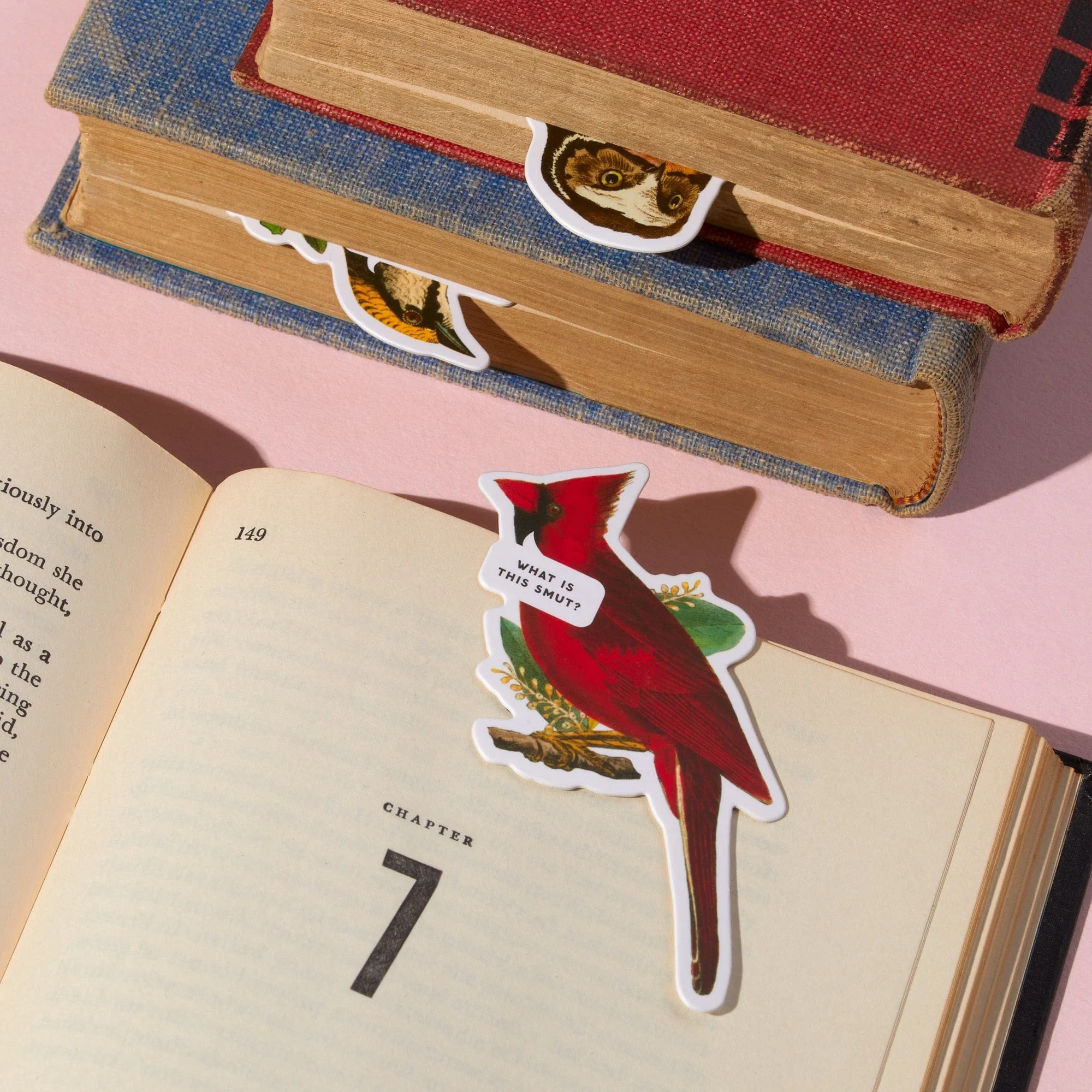 Salty Birds Magnetic Bookmark Set