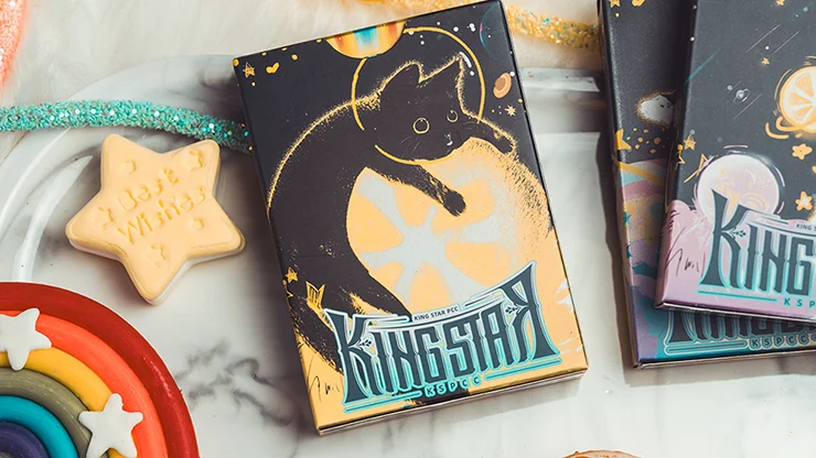 Space Cat V2