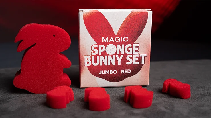Sponge Bunny Rabbit Set