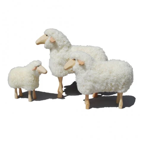 White Sheep