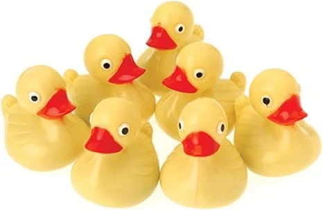 Yellow Duck Pond Floaters